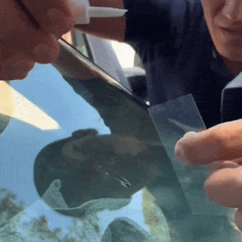 GlassGuard Pro™ – Kit Reparador de vidrio Automotriz o de hogar