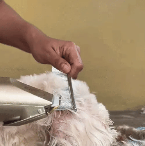 PetTrim Pro – Máquina Cortapelos Inalámbrica para Mascotas